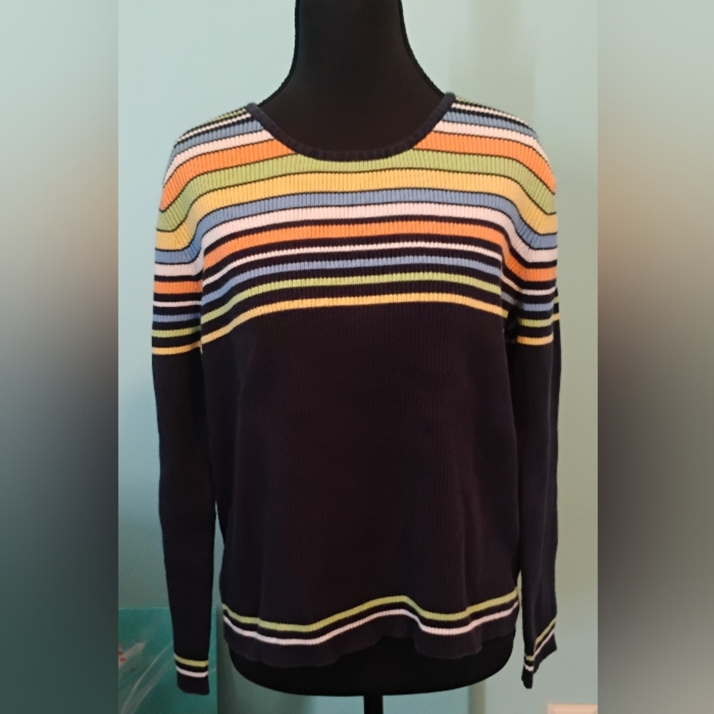 Crazy Horse By Liz Claiborne Navy With Colorful Stripes Sweater